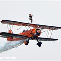 LMP_8536_Wingwalker_LP540.jpg